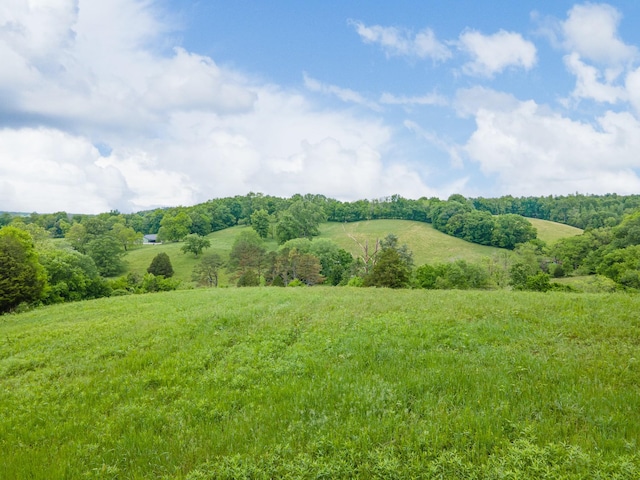 2222 Mack Branch Rd, Lynnville, TN 38472 - photo 38