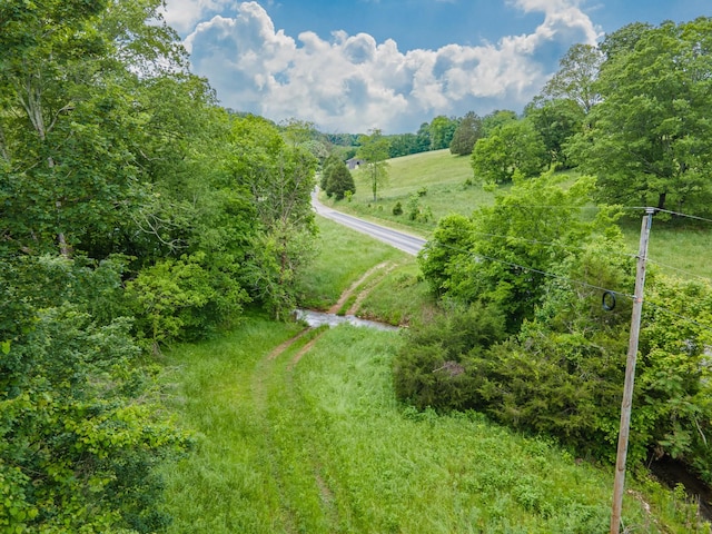 2222 Mack Branch Rd, Lynnville, TN 38472 - photo 18