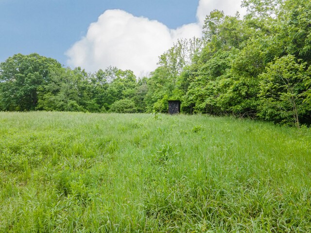 2222 Mack Branch Rd, Lynnville, TN 38472 - photo 58