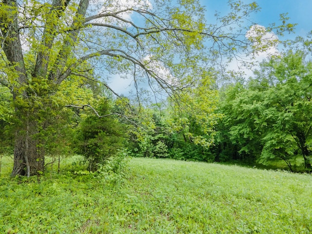 2222 Mack Branch Rd, Lynnville, TN 38472 - photo 62