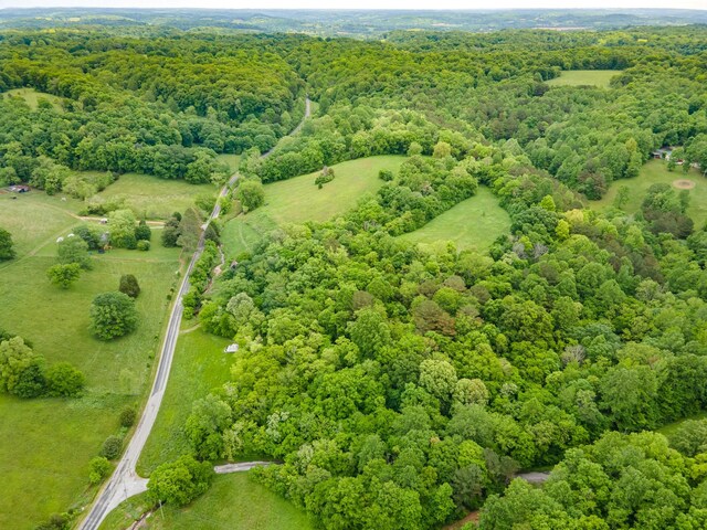 2222 Mack Branch Rd, Lynnville, TN 38472 - photo 24