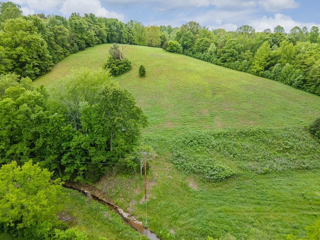 2222 Mack Branch Rd, Lynnville, TN 38472 - photo 31