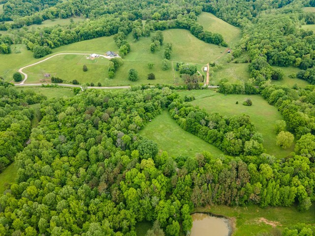 2222 Mack Branch Rd, Lynnville, TN 38472 - photo 26