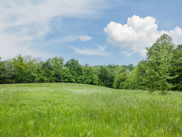 2222 Mack Branch Rd, Lynnville, TN 38472 - photo 60