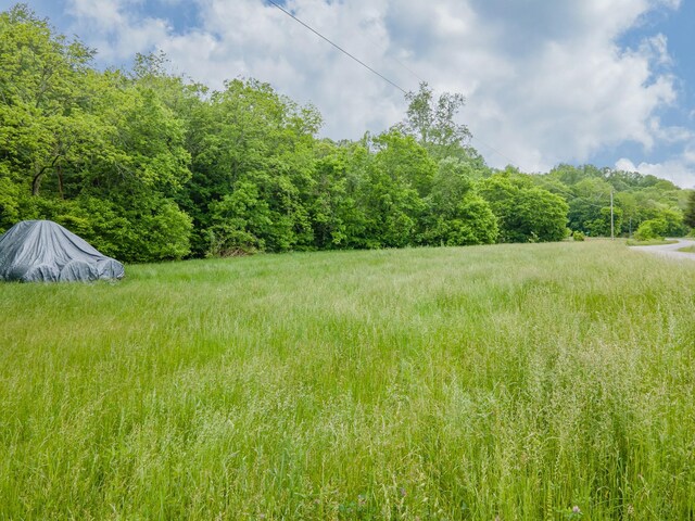 2222 Mack Branch Rd, Lynnville, TN 38472 - photo 14