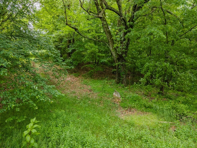 2222 Mack Branch Rd, Lynnville, TN 38472 - photo 52