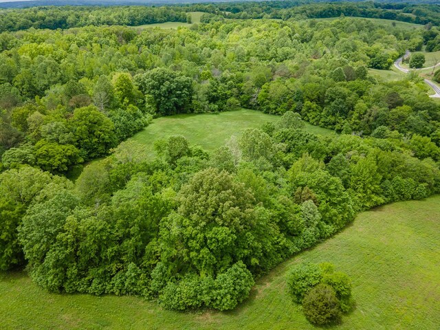 2222 Mack Branch Rd, Lynnville, TN 38472 - photo 50
