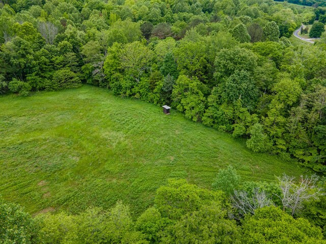 2222 Mack Branch Rd, Lynnville, TN 38472 - photo 43