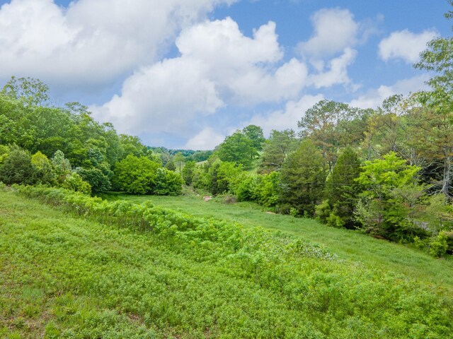 2222 Mack Branch Rd, Lynnville, TN 38472 - photo 36