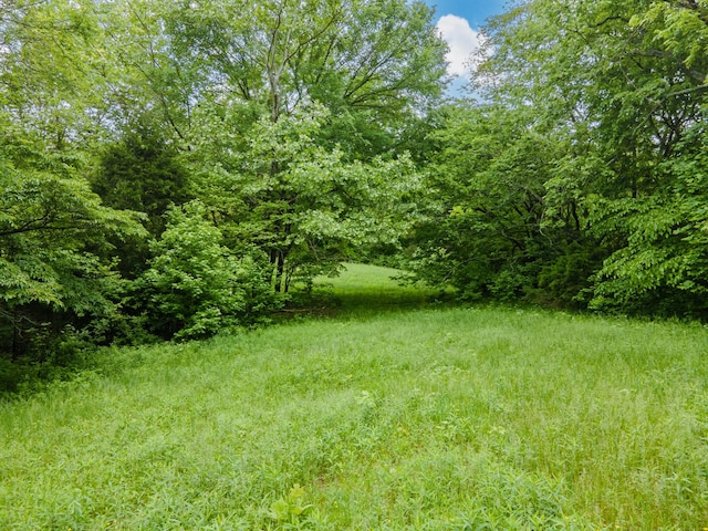 2222 Mack Branch Rd, Lynnville, TN 38472 - photo 61