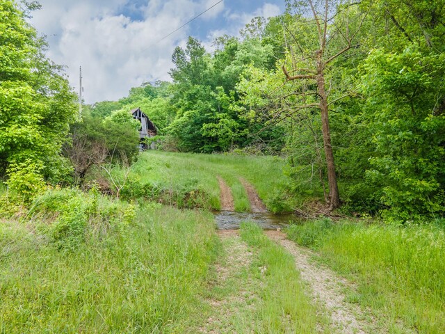 2222 Mack Branch Rd, Lynnville, TN 38472 - photo 13