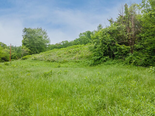 2222 Mack Branch Rd, Lynnville, TN 38472 - photo 55