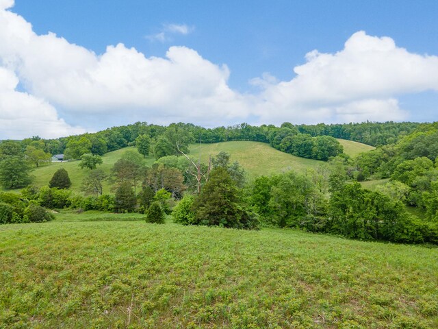 2222 Mack Branch Rd, Lynnville, TN 38472 - photo 39