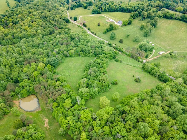 2222 Mack Branch Rd, Lynnville, TN 38472 - photo 27