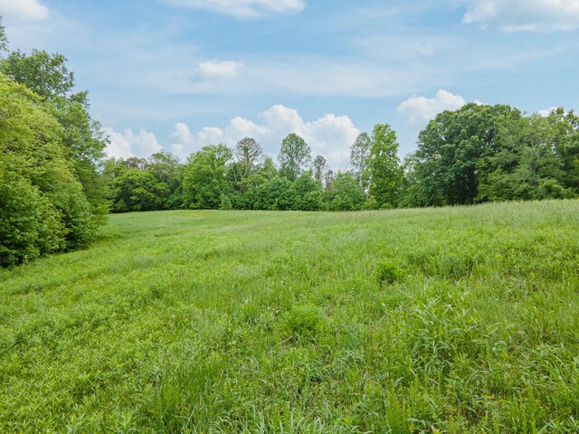 2222 Mack Branch Rd, Lynnville, TN 38472 - photo 57