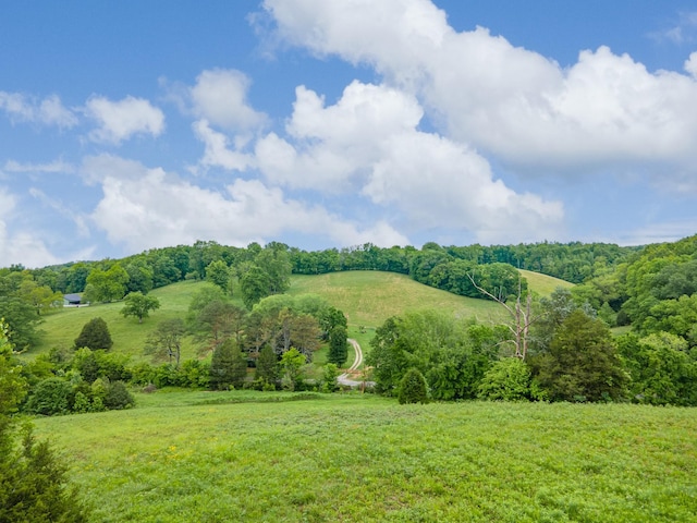 2222 Mack Branch Rd, Lynnville, TN 38472 - photo 42