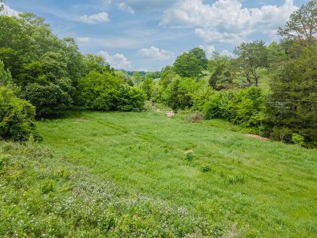 2222 Mack Branch Rd, Lynnville, TN 38472 - photo 51
