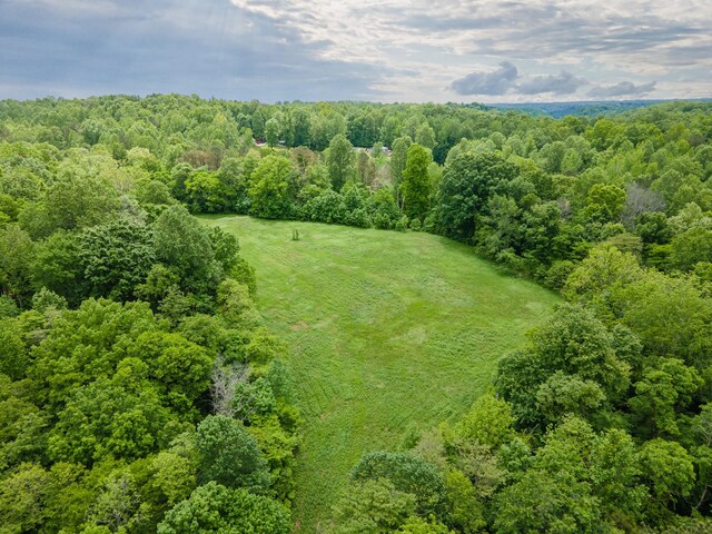 2222 Mack Branch Rd, Lynnville, TN 38472 - photo 47