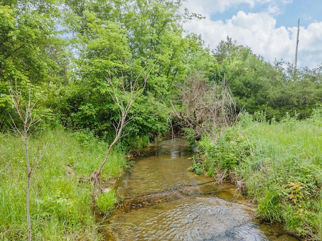 2222 Mack Branch Rd, Lynnville, TN 38472 - photo 6