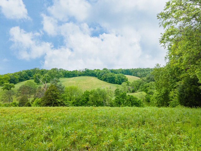 2222 Mack Branch Rd, Lynnville, TN 38472 - photo 65