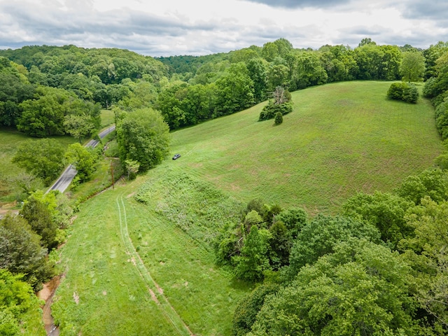 2222 Mack Branch Rd, Lynnville, TN 38472 - photo 46