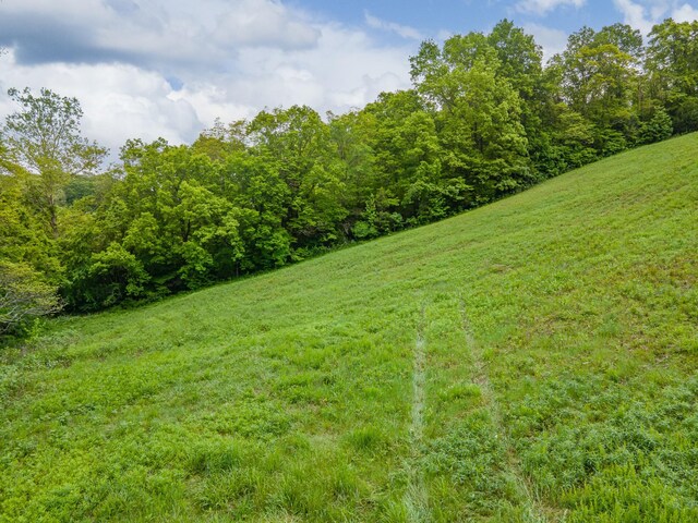 2222 Mack Branch Rd, Lynnville, TN 38472 - photo 35