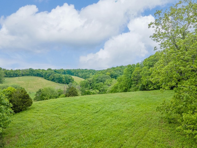 2222 Mack Branch Rd, Lynnville, TN 38472 - photo 41