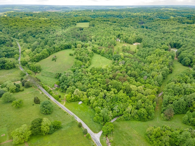 2222 Mack Branch Rd, Lynnville, TN 38472 - photo 23