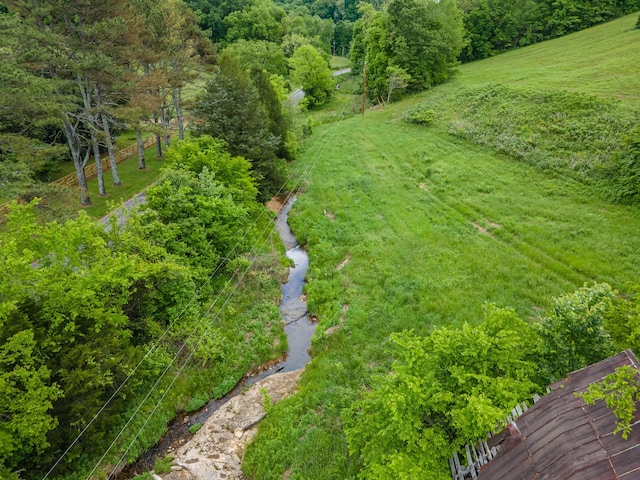 2222 Mack Branch Rd, Lynnville, TN 38472 - photo 22