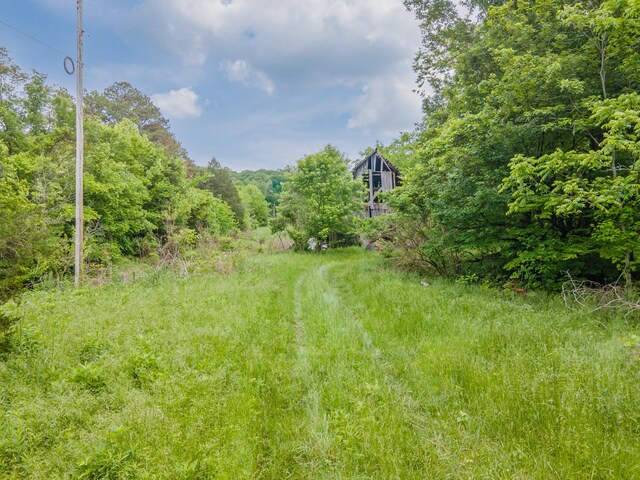 2222 Mack Branch Rd, Lynnville, TN 38472 - photo 16