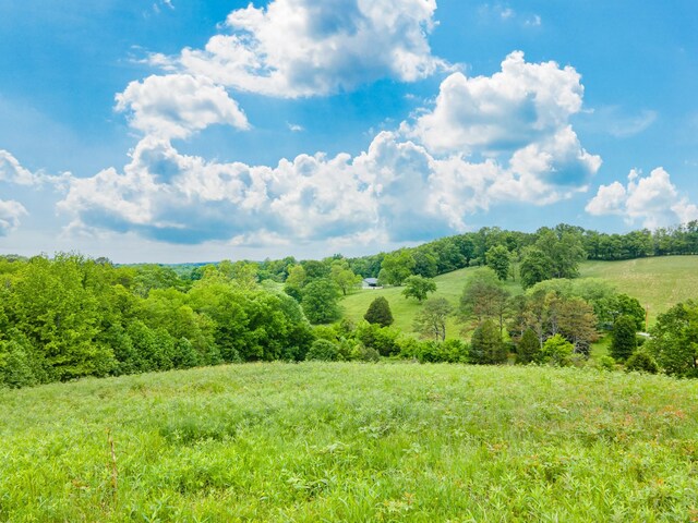 2222 Mack Branch Rd, Lynnville, TN 38472 - photo 66