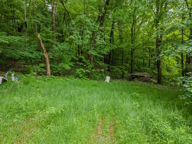 2222 Mack Branch Rd, Lynnville, TN 38472 - photo 10