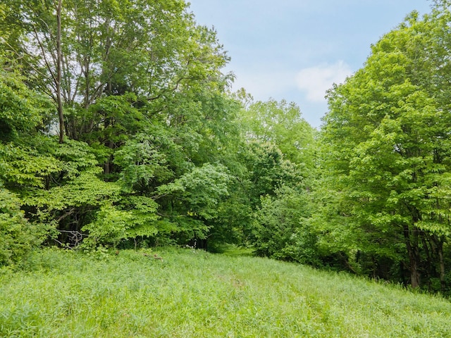 2222 Mack Branch Rd, Lynnville, TN 38472 - photo 56