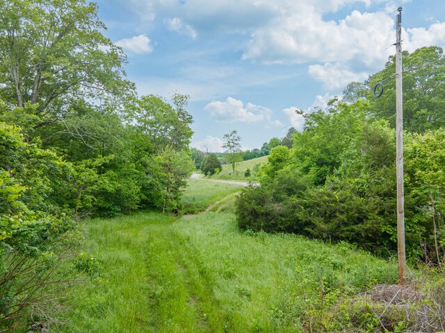 2222 Mack Branch Rd, Lynnville, TN 38472 - photo 11