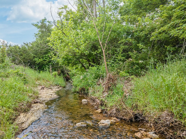 2222 Mack Branch Rd, Lynnville, TN 38472 - photo 7