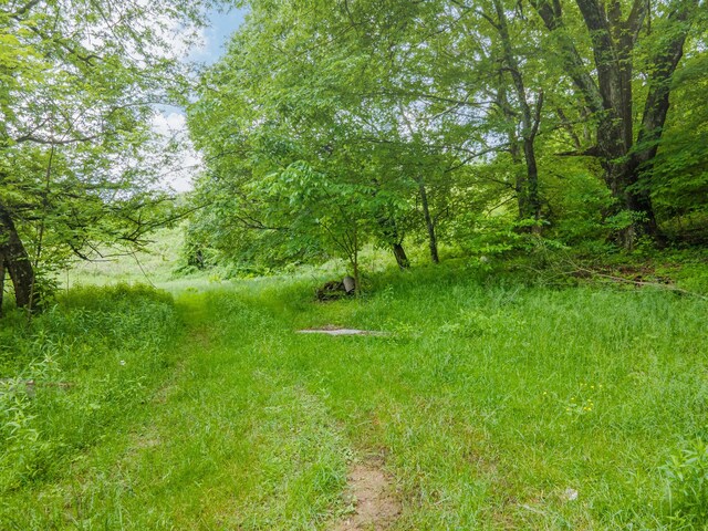 2222 Mack Branch Rd, Lynnville, TN 38472 - photo 9