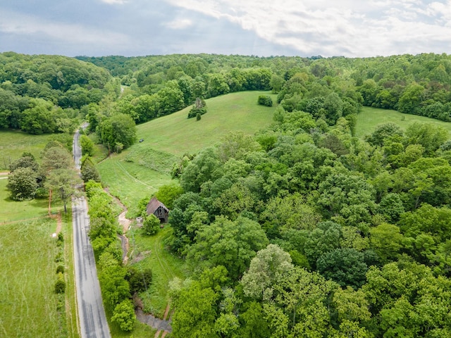 2222 Mack Branch Rd, Lynnville, TN 38472 - photo 45