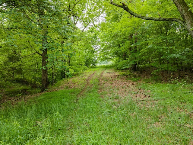 2222 Mack Branch Rd, Lynnville, TN 38472 - photo 53