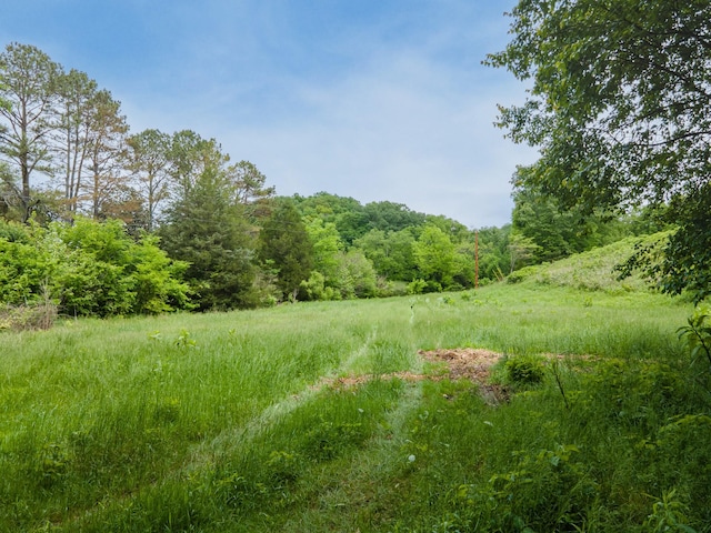 2222 Mack Branch Rd, Lynnville, TN 38472 - photo 54