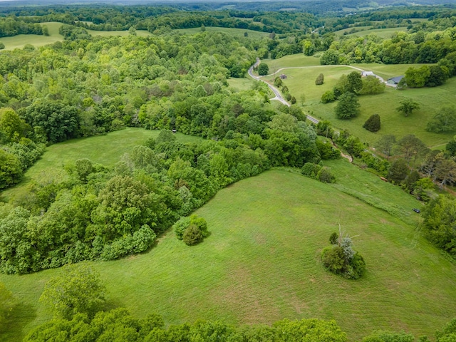 2222 Mack Branch Rd, Lynnville, TN 38472 - photo 49