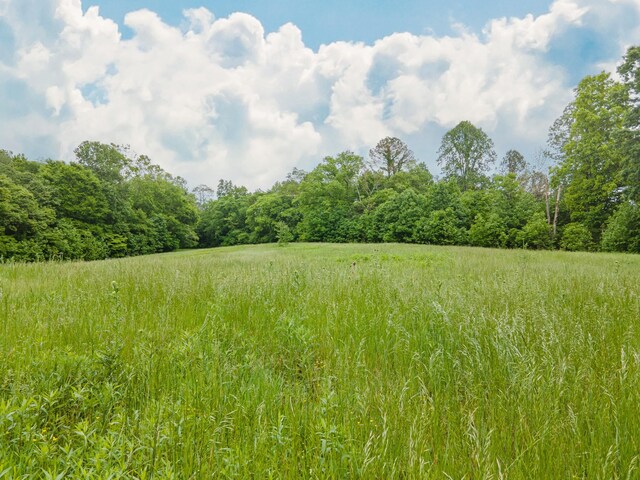 2222 Mack Branch Rd, Lynnville, TN 38472 - photo 59