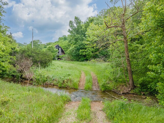 2222 Mack Branch Rd, Lynnville, TN 38472 - photo 15