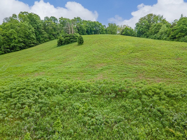2222 Mack Branch Rd, Lynnville, TN 38472 - photo 34