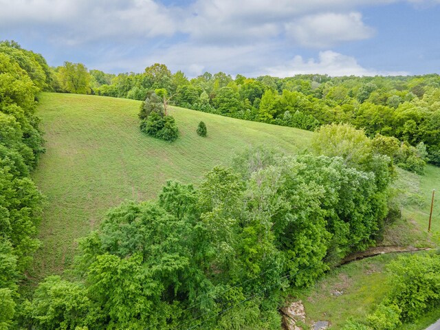 2222 Mack Branch Rd, Lynnville, TN 38472 - photo 30
