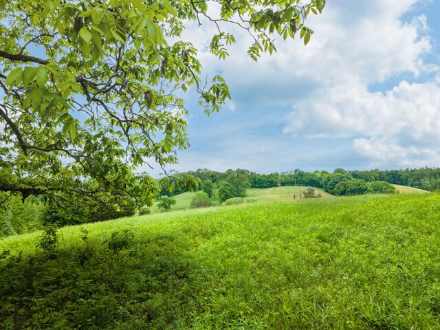 2222 Mack Branch Rd, Lynnville, TN 38472 - photo 63