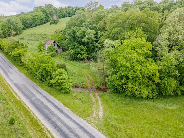 2222 Mack Branch Rd, Lynnville, TN 38472 - photo 19