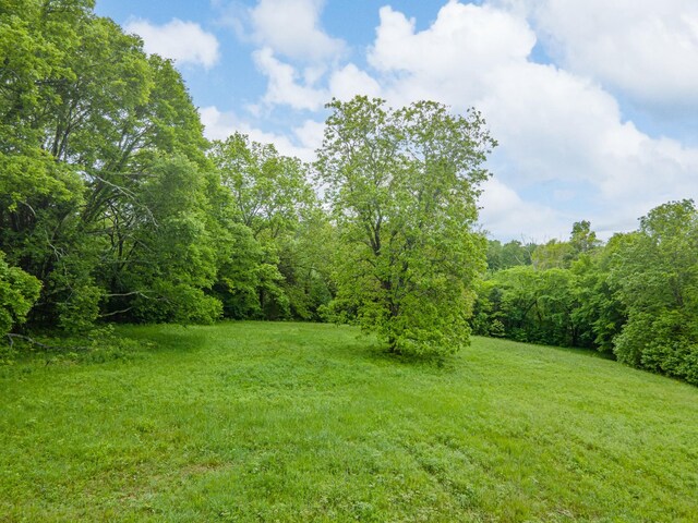 2222 Mack Branch Rd, Lynnville, TN 38472 - photo 40
