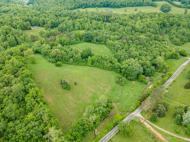 2222 Mack Branch Rd, Lynnville, TN 38472 - photo 29
