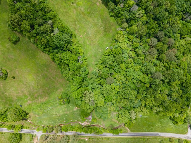 2222 Mack Branch Rd, Lynnville, TN 38472 - photo 48