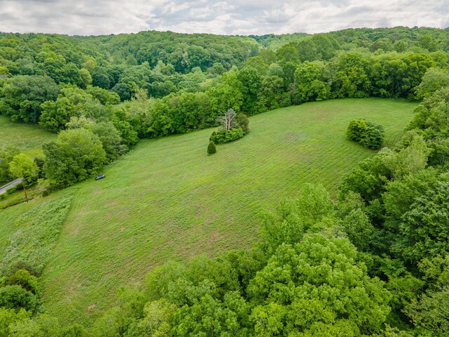 2222 Mack Branch Rd, Lynnville, TN 38472 - photo 44